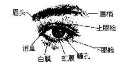 行眼運|金自在相面秘訣——眼睛篇